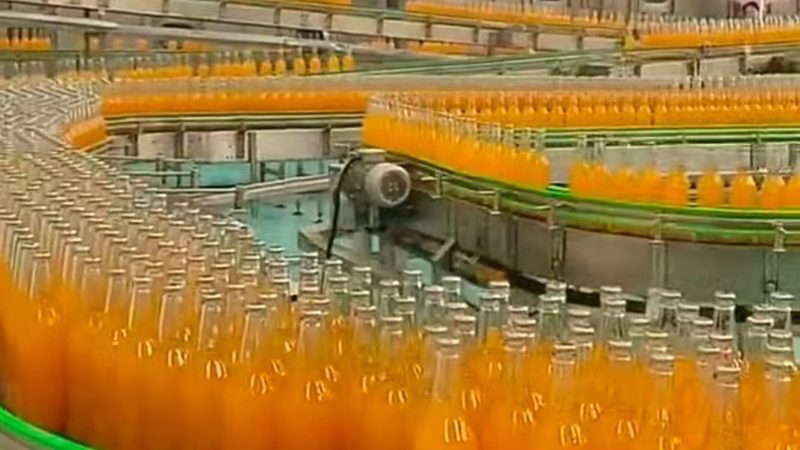 烘焙设备：商用与家用的功能差异解析